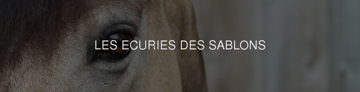 LES ECURIES DES SABLONS
